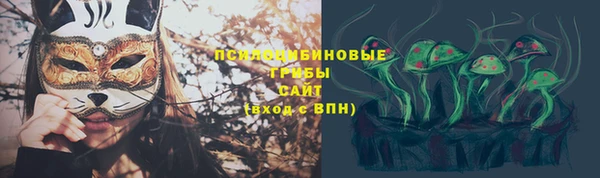 экстази Пересвет