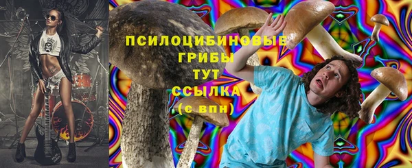 экстази Пересвет
