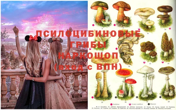 первитин Пестово