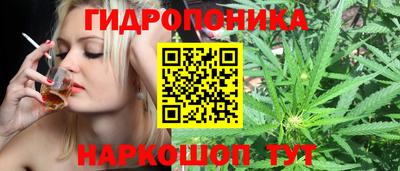 мяу мяу мука Апшеронск