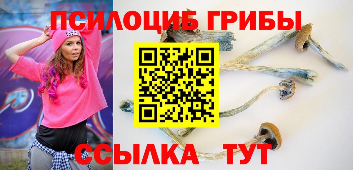 Галлюциногенные грибы MAGIC MUSHROOMS  Вход с VPN  Югорск 