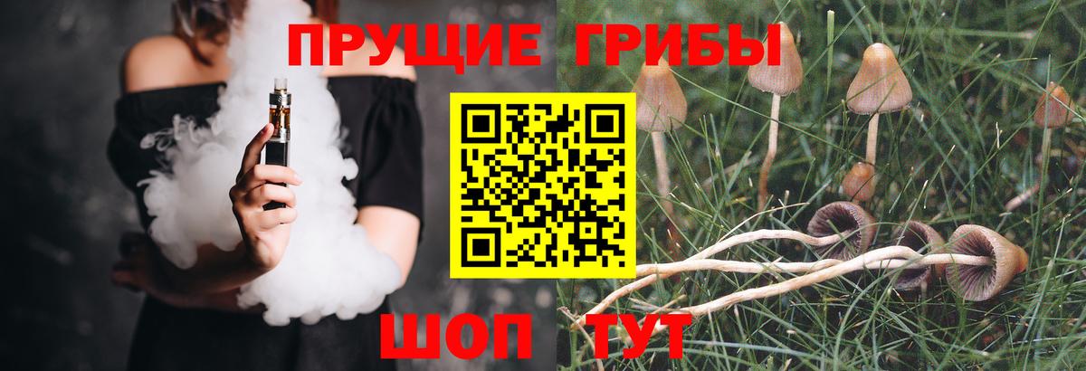 Псилоцибиновые грибы Magic Shrooms Югорск