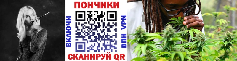 Бошки Шишки конопля  Югорск 